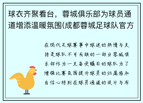 球衣齐聚看台，蓉城俱乐部为球员通道增添温暖氛围(成都蓉城足球队官方微博)